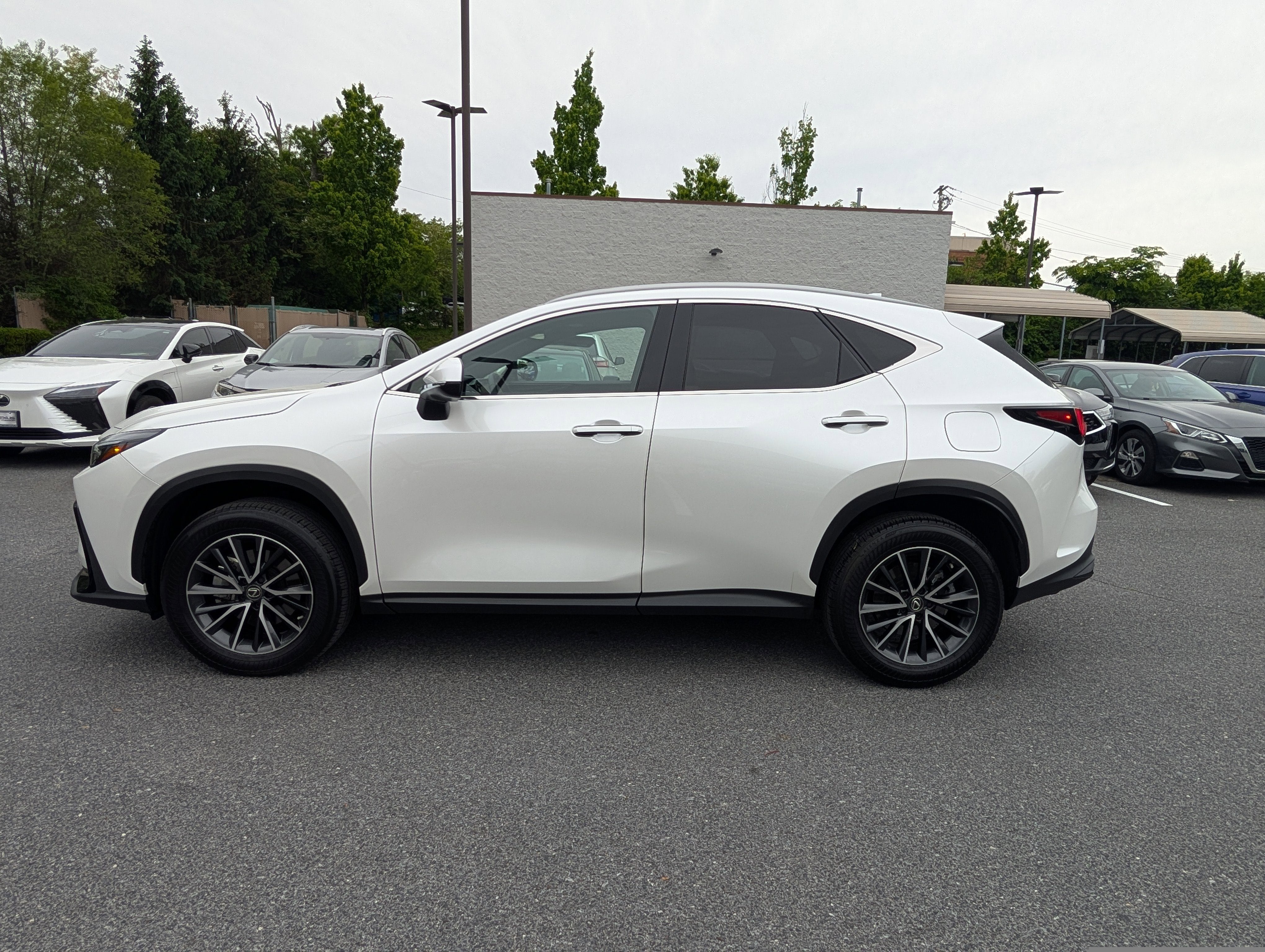 2023 Lexus NX 350 Premium