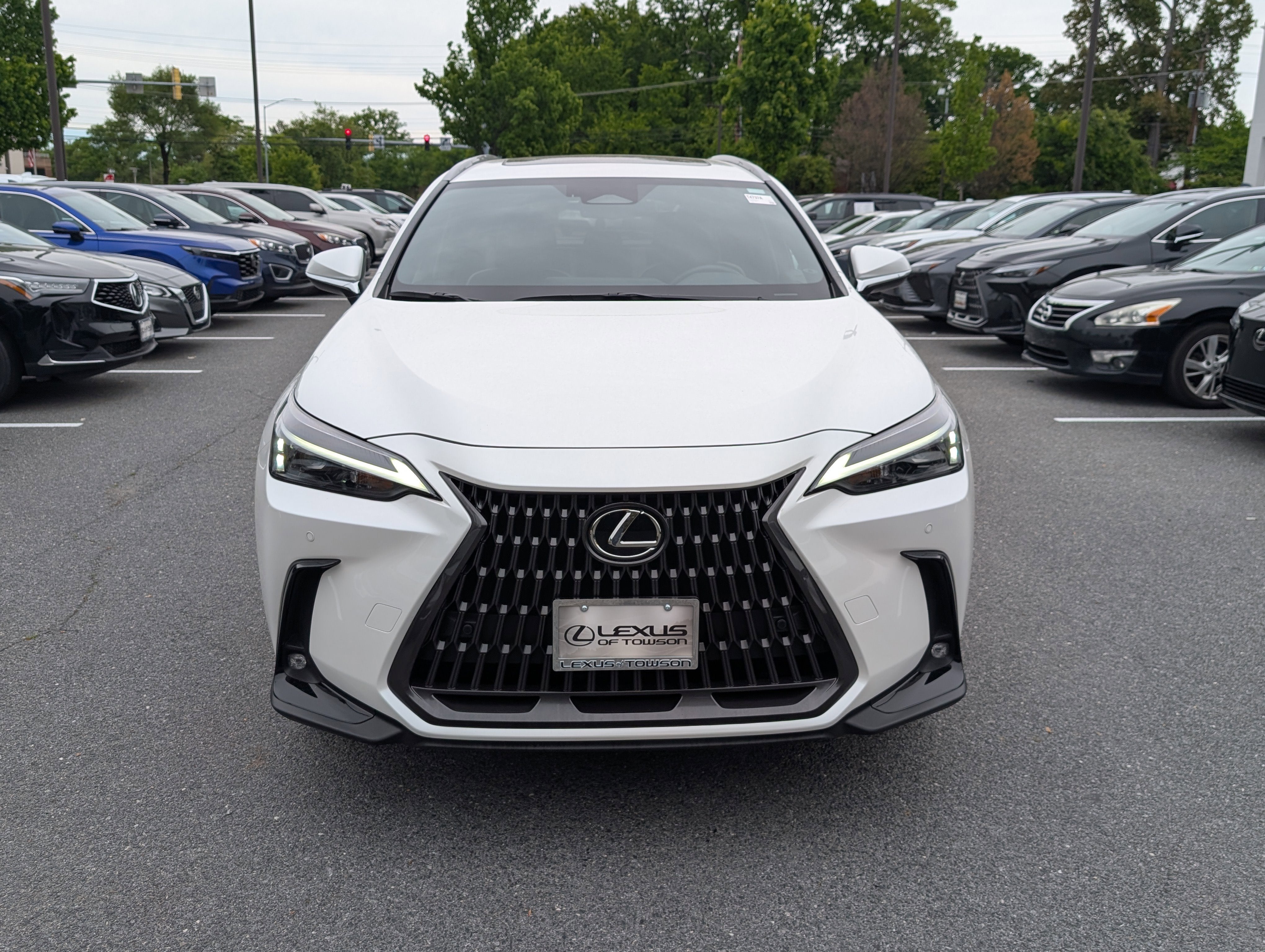 2023 Lexus NX 350 Premium