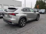 2020 Lexus NX 300h