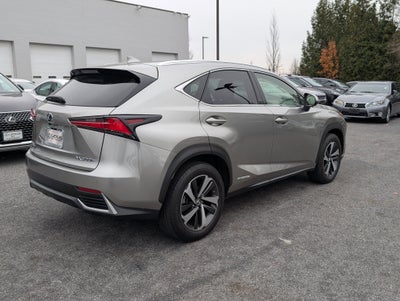 2020 Lexus NX 300h