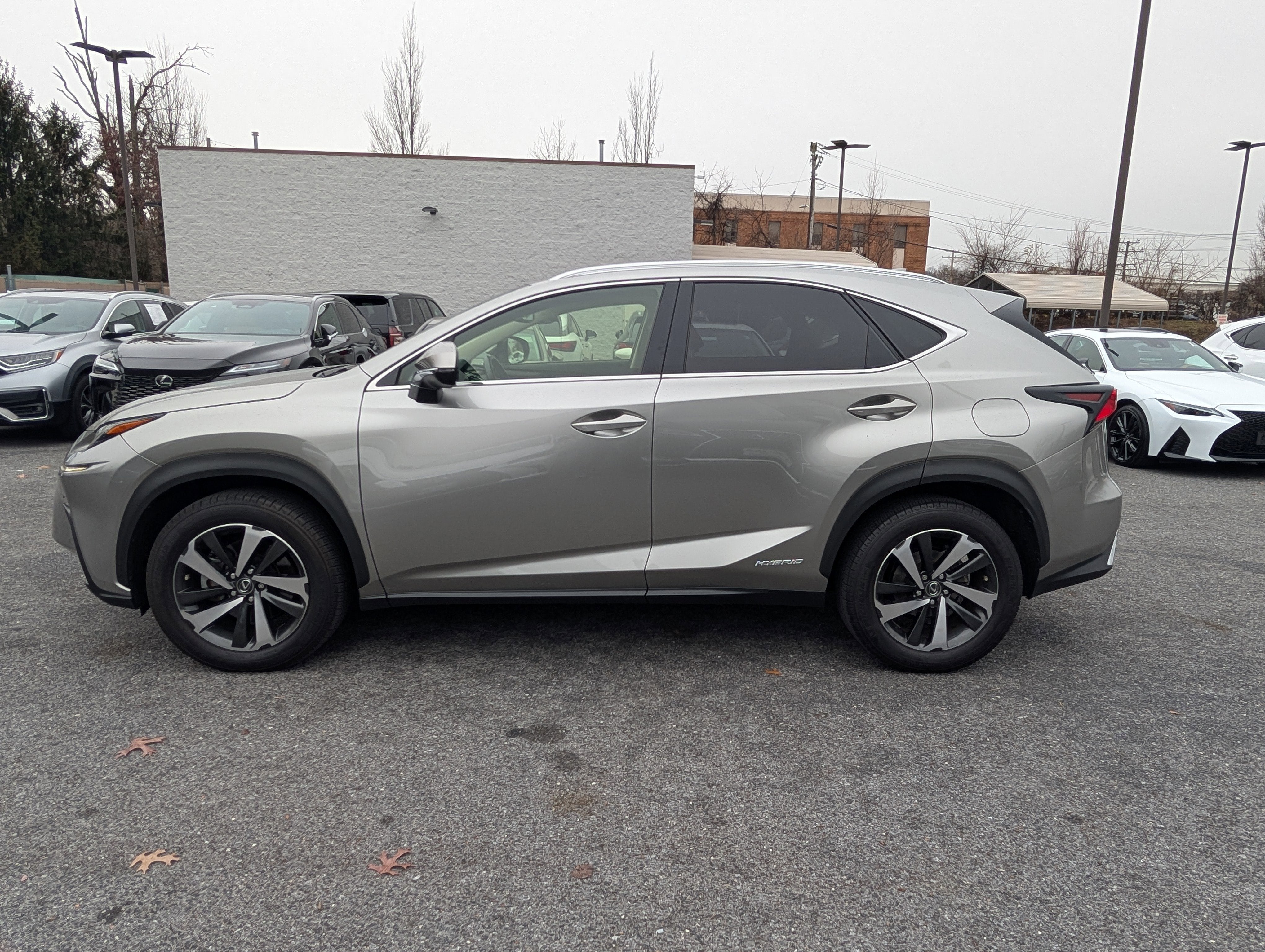 2020 Lexus NX 300h