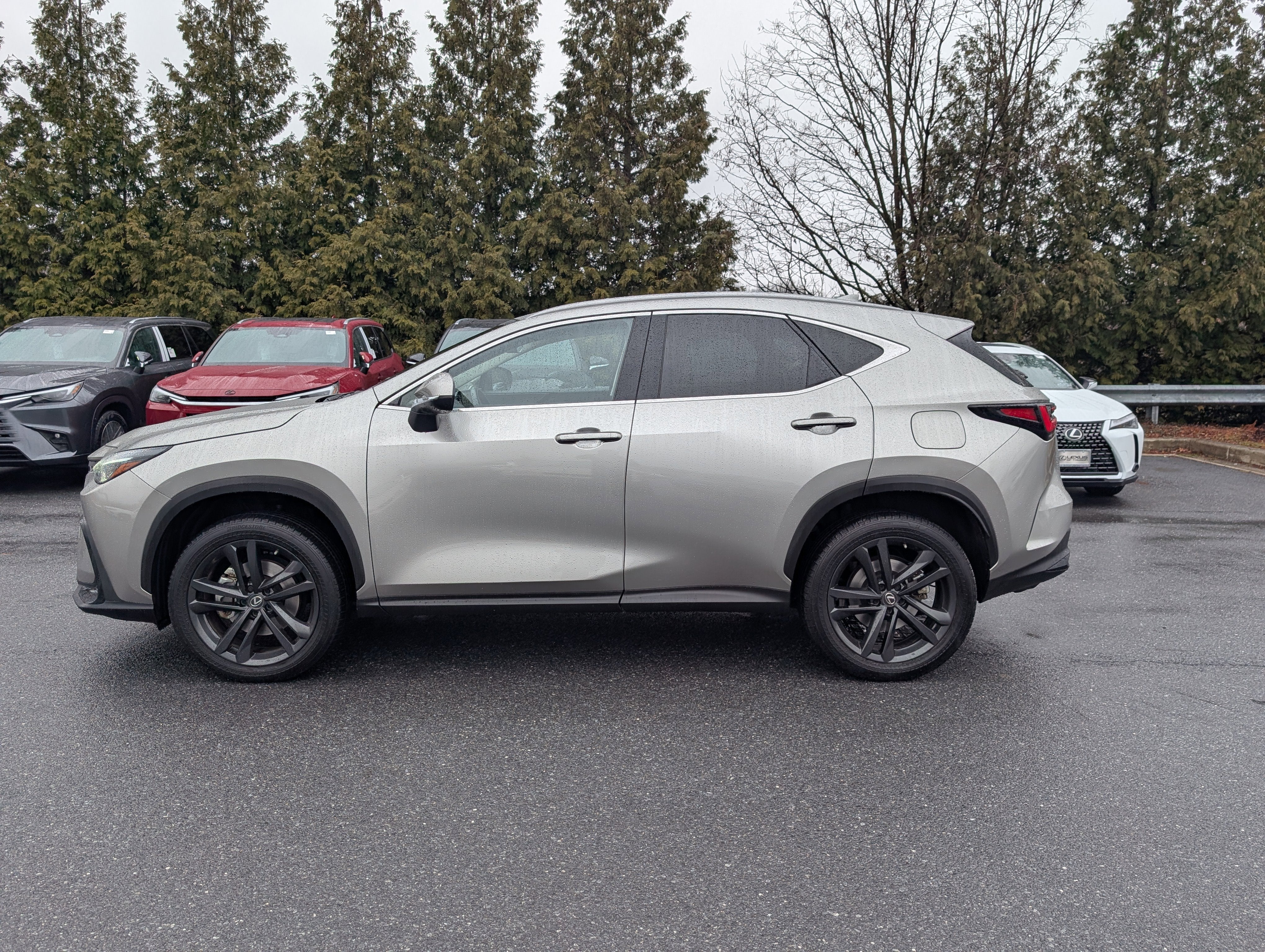 2023 Lexus NX 450h