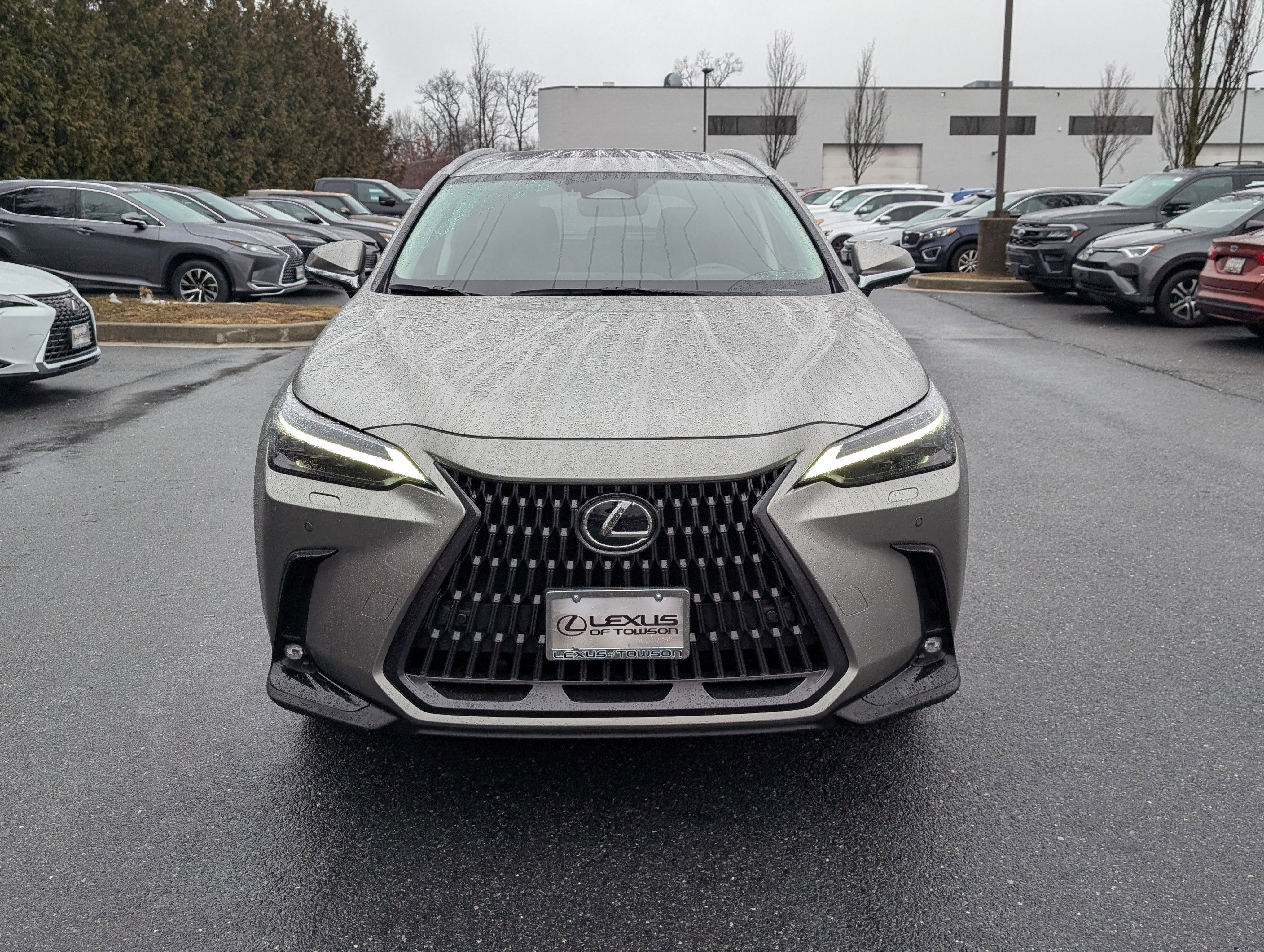 2023 Lexus NX 450h