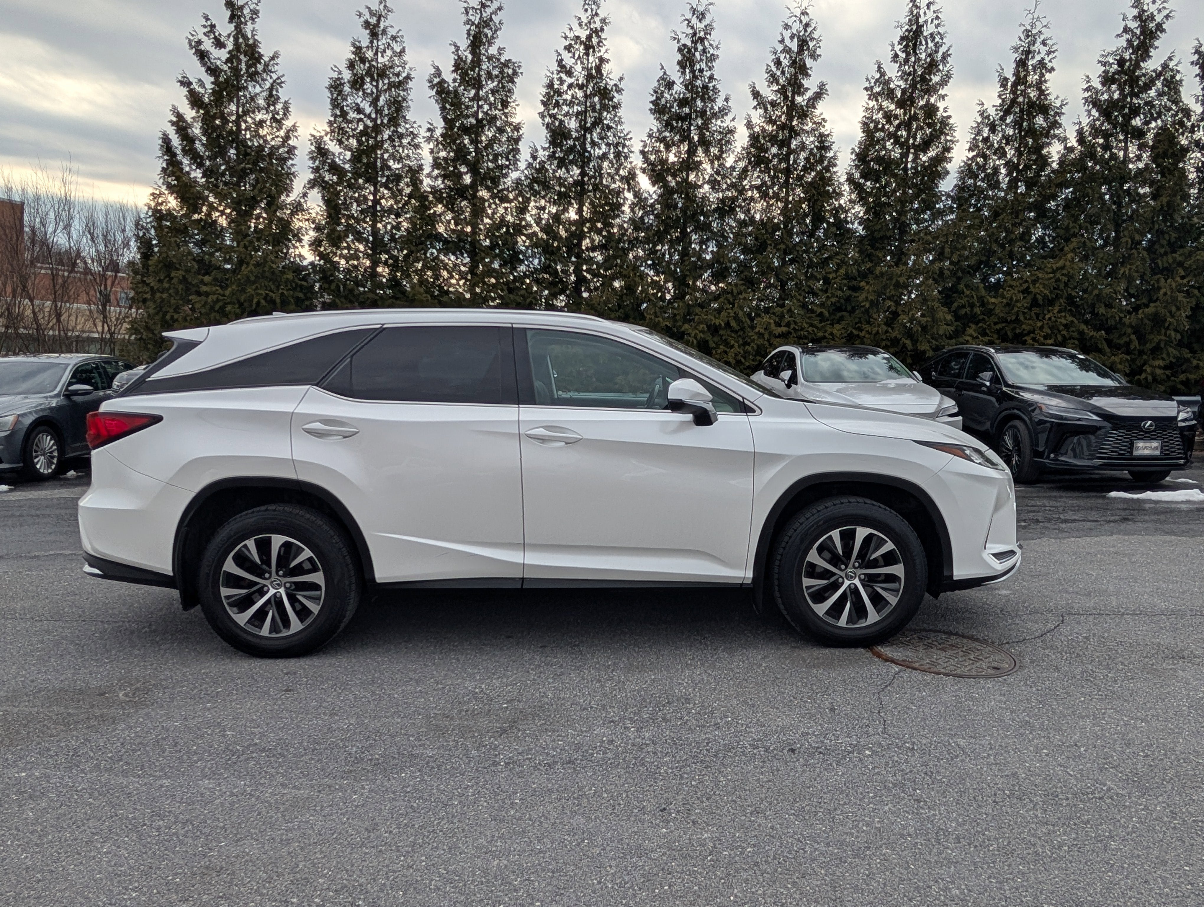2020 Lexus RX 350L
