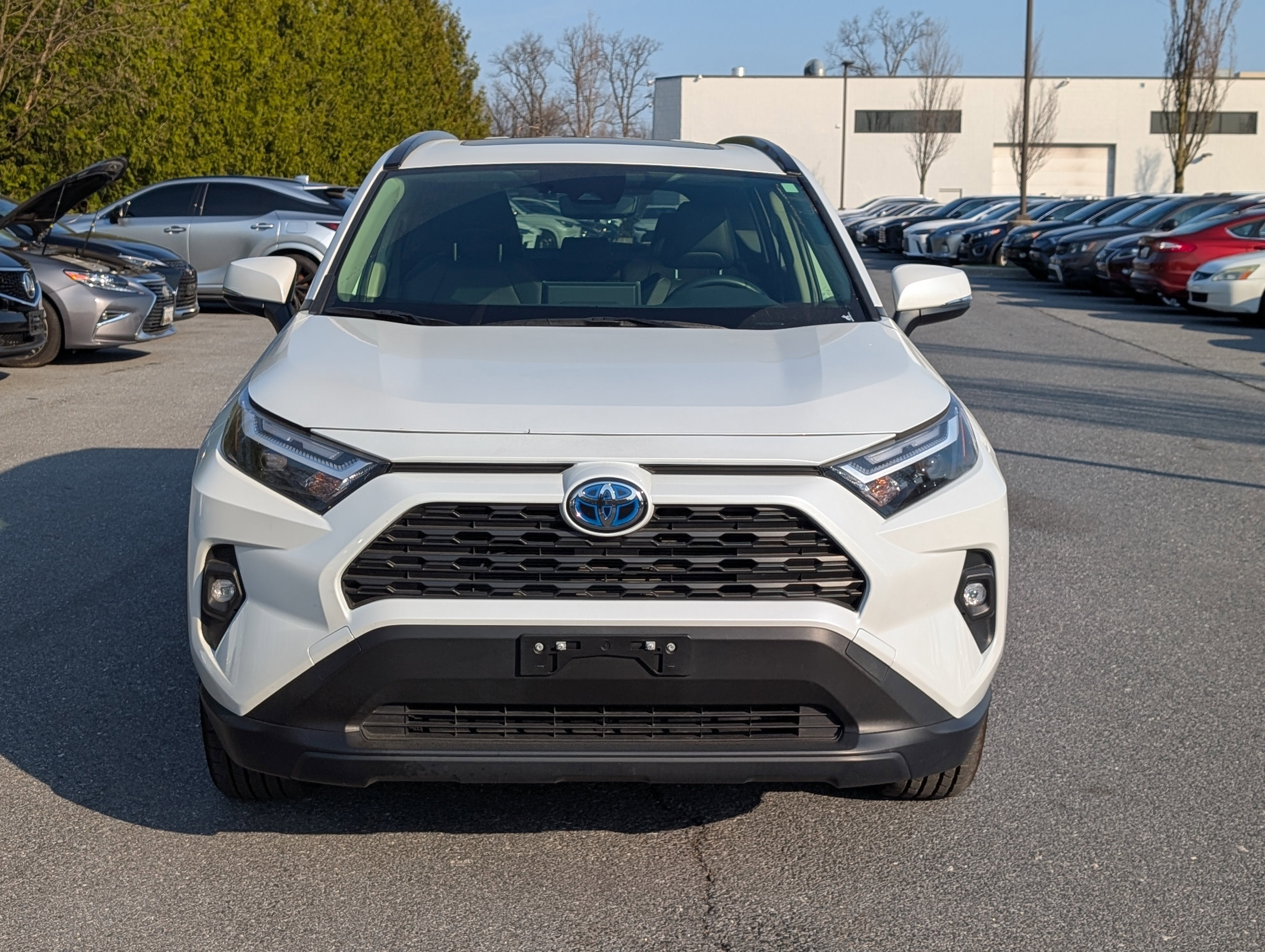 2023 Toyota RAV4 Hybrid XLE Premium