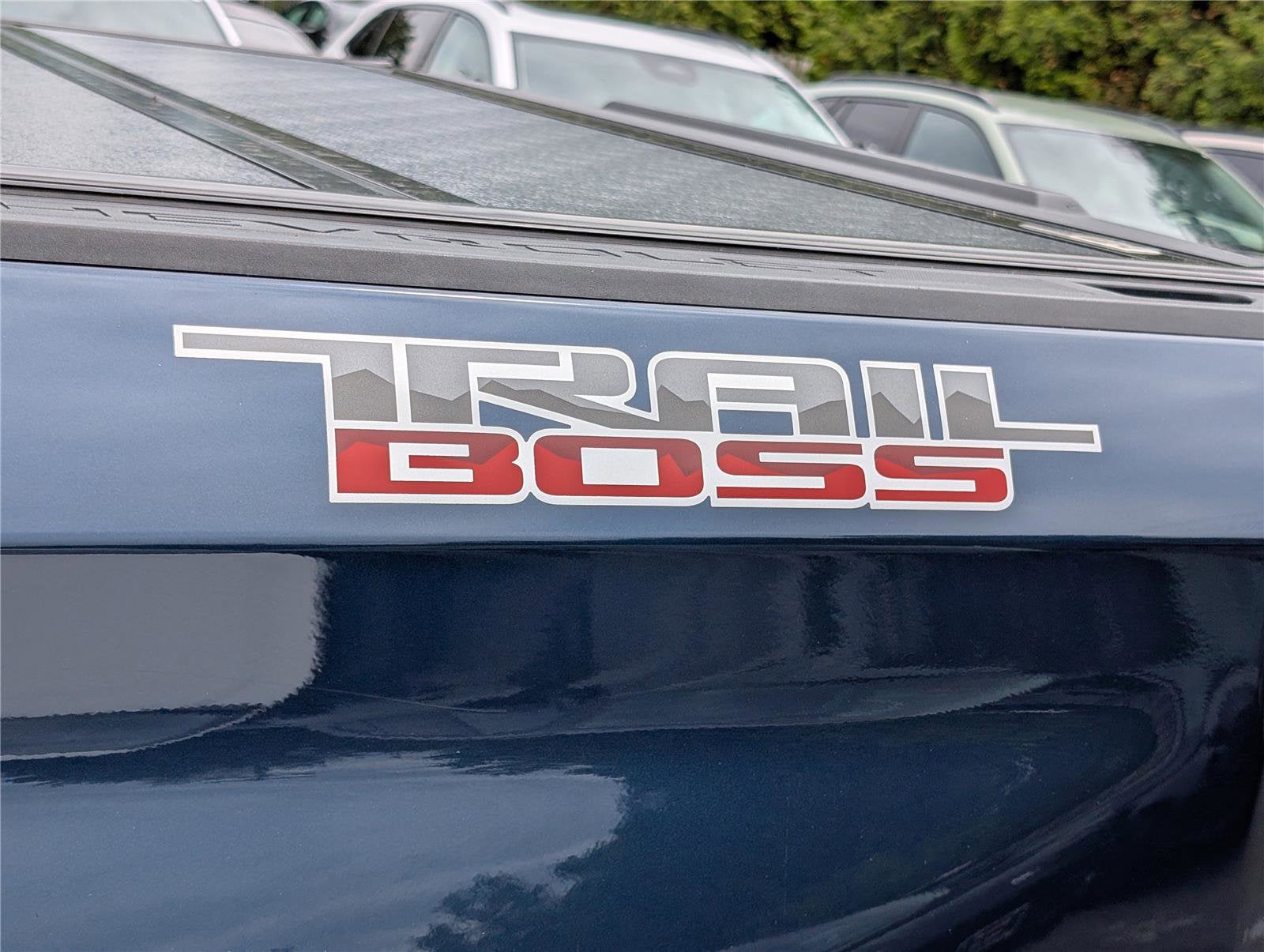 2020 Chevrolet Silverado 1500 LT Trail Boss